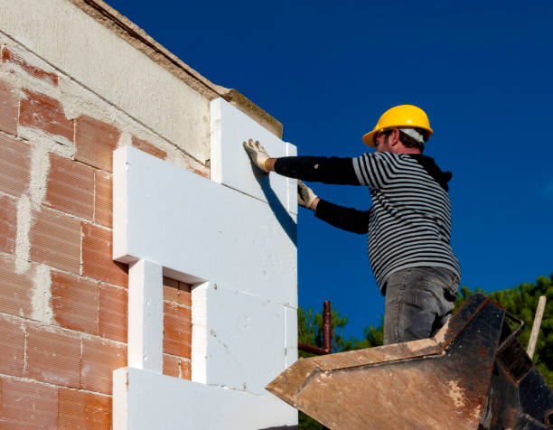 Best Insulation Removal  in Gages Lake, IL