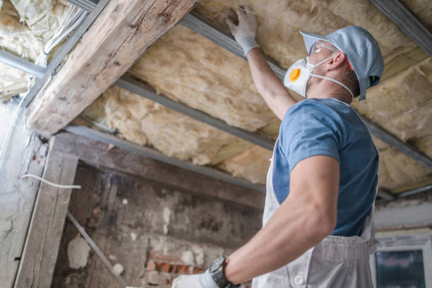 Best Crawl Space Insulation  in Gages Lake, IL