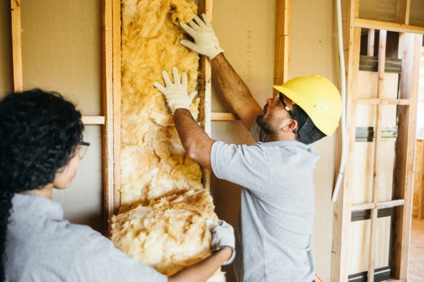 Professional Insulation Contractor in Gages Lake, IL