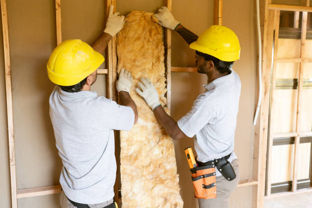 Best Garage Insulation Installation  in Gages Lake, IL