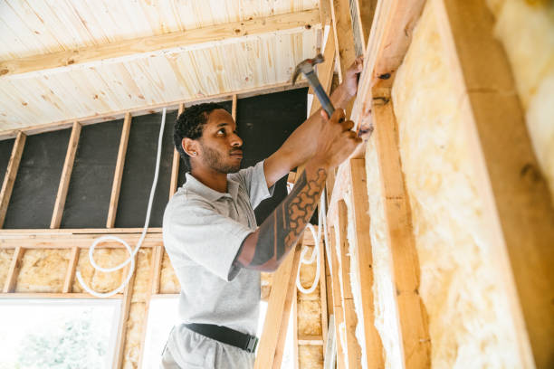 Best Residential Insulation Services  in Gages Lake, IL