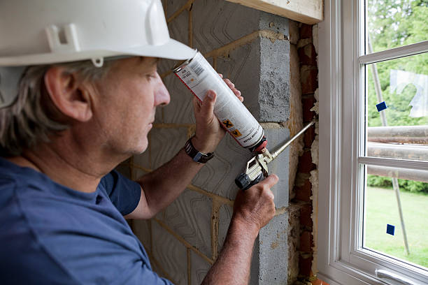 Best Spray Foam Insulation  in Gages Lake, IL